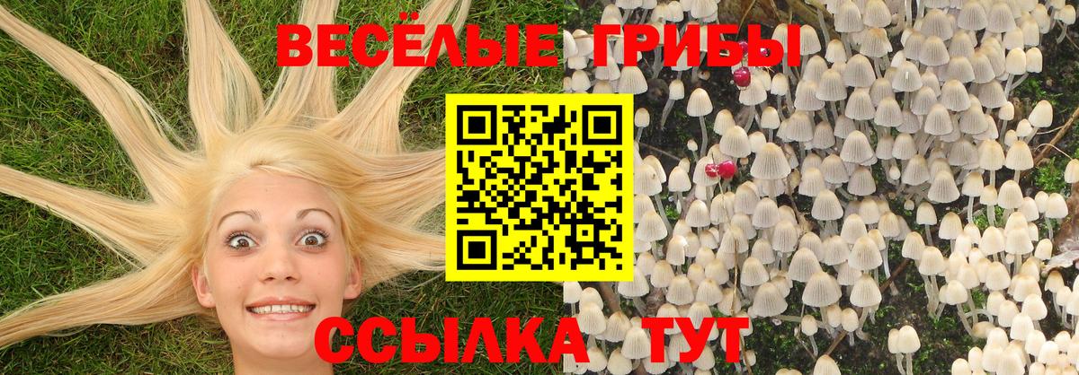 Галлюциногенные грибы ЛСД Орехово-Зуево